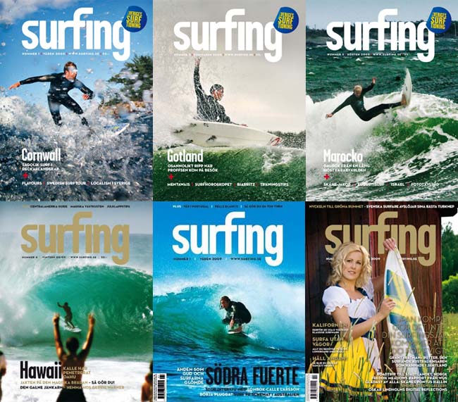Surfing covers mosaic